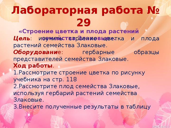 Лабораторная работа № 29 «Строение цветка и плода растений семейства Злаковые ».Цель: изучить строение цветка и плода растен
