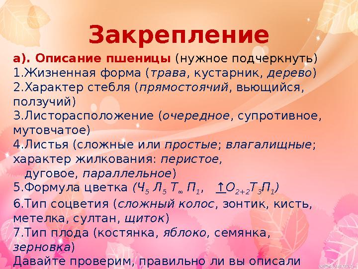 Закрепление а). Описание пшеницы (нужное подчеркнуть) 1.Жизненная форма ( трава, кустарник, дерево) 2.Характер стебля (прямост