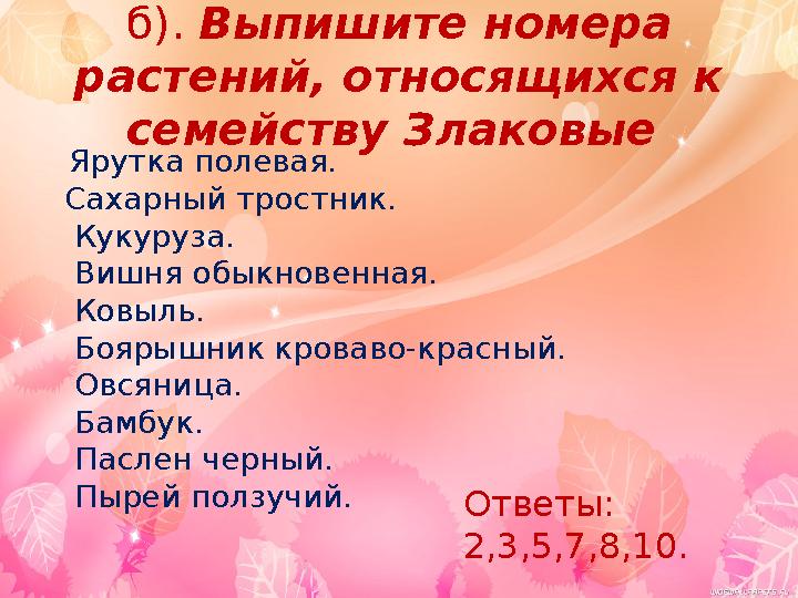 б). Выпишите номера растений, относящихся к семейству Злаковые Ярутка полевая. Сахарный тростник. Кукуруза. Вишня обыкн