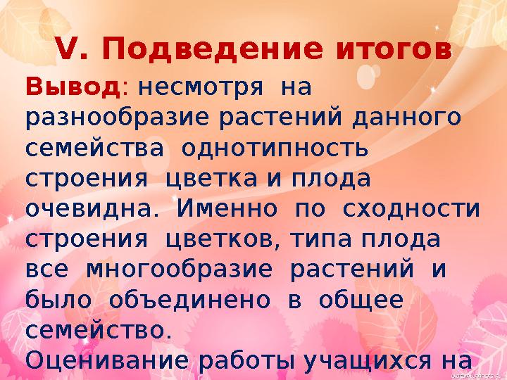 V. Подведение итогов Вывод: несмотря на разнообразие растений данного семейства однотипность строения цветка и плода о