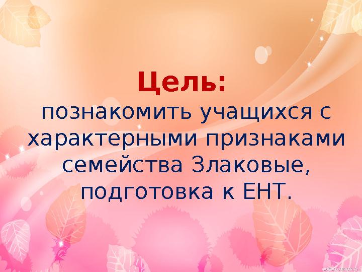 Цель: познакомить учащихся с характерными признаками семейства Злаковые, подготовка к ЕНТ.
