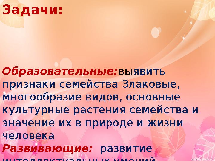 Задачи: