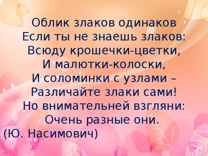 Облик злаков одинаков Если ты не знаешь злаков: Всюду крошечки-цветки, И малютки-колоски, И соломинки с узлами – Различайте злак