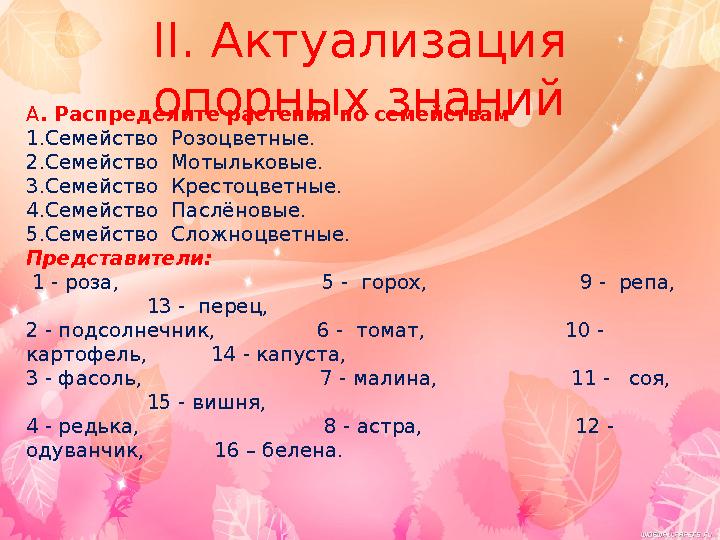 II. Актуализация опорных знаний А. Распределите растения по семействам 1.Семейство Розоцветные. 2.Семейство Мотыльковые. 3.С