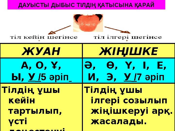 Жыныстық дыбыстар