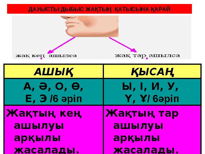 Жастар ескі фотолармен айналысады