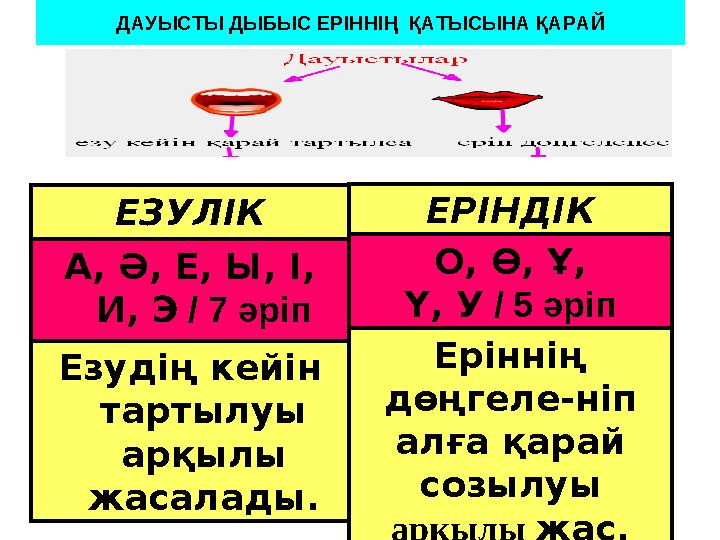 ДАУЫСТЫ ДЫБЫС ЕРІННІҢ ҚАТЫСЫНА ҚАРАЙ ЕЗУЛІК А, Ә, Е, Ы, І, И, Э / 7 әріп Езудің кейін тартылуы арқылы жасалады. ЕРІНДІК О,