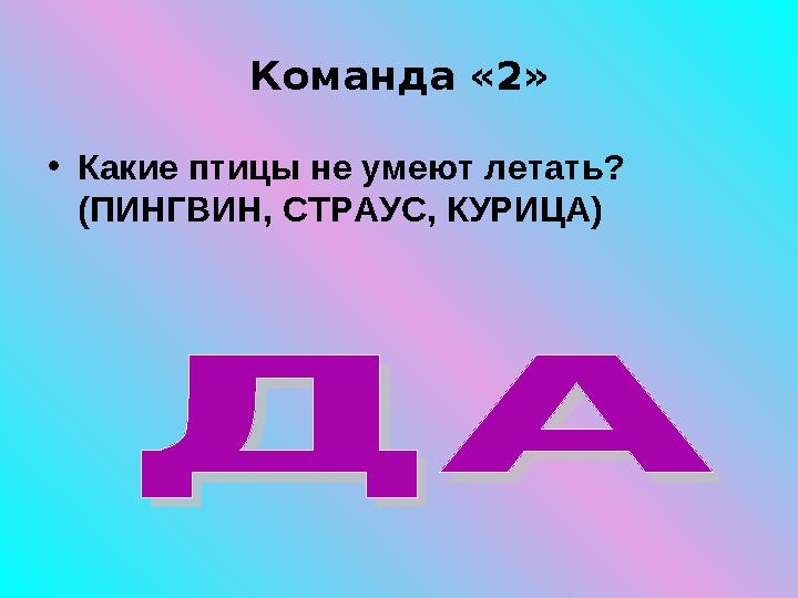 Команда «2» • Какие птицы не умеют летать? (ПИНГВИН, СТРАУС, КУРИЦА)