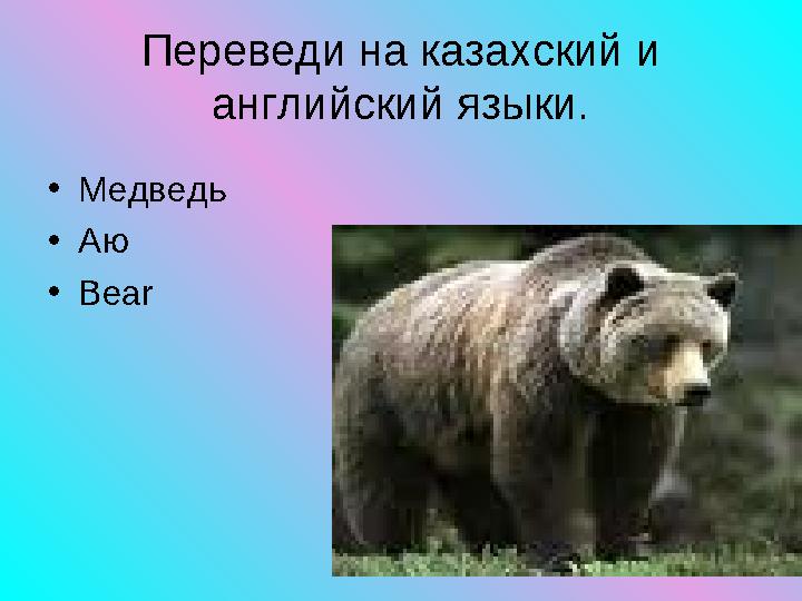 • Медведь • Аю • Bear Переведи на казахский и английский языки.