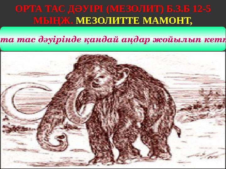 ОРТА ТАС ДӘУІРІ (МЕЗОЛИТ) Б.З.Б 12-5 МЫҢЖ. МЕЗОЛИТТЕ МАМОНТ, МҮЙІЗТҰМСЫҚ СИЯҚТЫ АҢДАР ЖОЙЫЛЫП КЕТКЕН БОЛАТЫН. Орта тас дәуірі