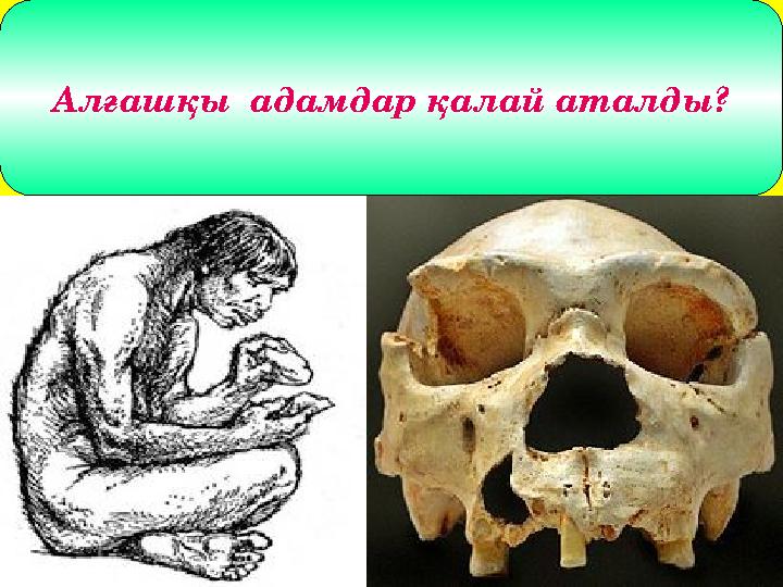 Гоминид -жер бетінде ең алғашқы адамға ұқсас тіршілік иелері,осыдан 2,5-3 млн жылдан бұрын Африка мен Азияда өмір сүрген.