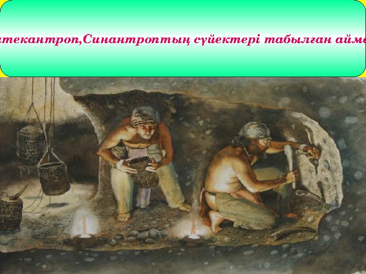 1890-92 ЖЫДАРЫ ҚАЗБА ЖҰМЫСТАРЫ НӘТИЖЕСІНДЕ АЛҒАШҚЫ ПИТЕКАНТРОПТЫҢ СҮЙЕК ҚАЛДЫҚТАРЫ ОҢТҮСТІК ШЫҒЫС АЗИЯДАҒЫ ЯВА АРАЛЫНАН ТАБЫЛ