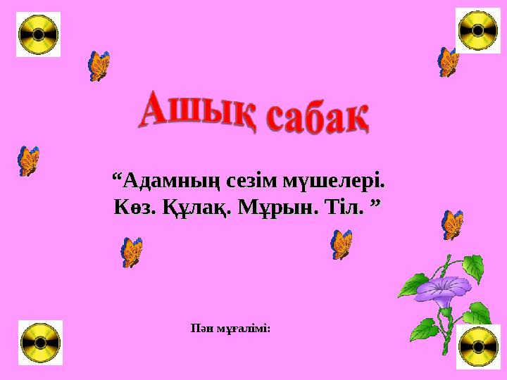 img_page_1
