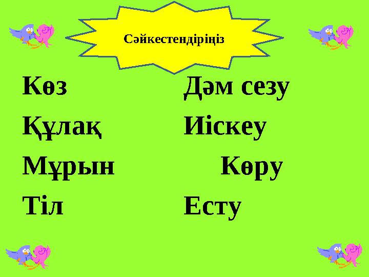 Көз Дәм сезу Құлақ Иіскеу Мұрын Көру Тіл Есту Сәйкестендіріңіз