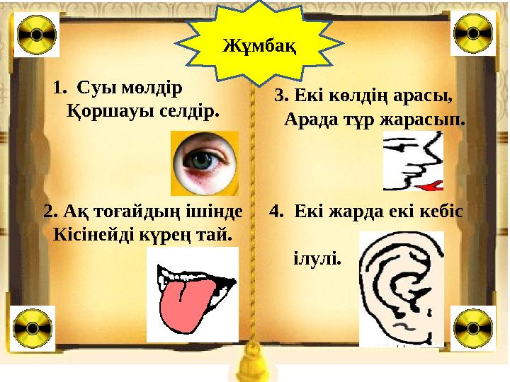 1. Суы мөлдір Қоршауы селдір. 2. Ақ тоғайдың ішінде Кісінейді күрең тай. 3. Екі көлдің арасы, Арада тұр жарасып.