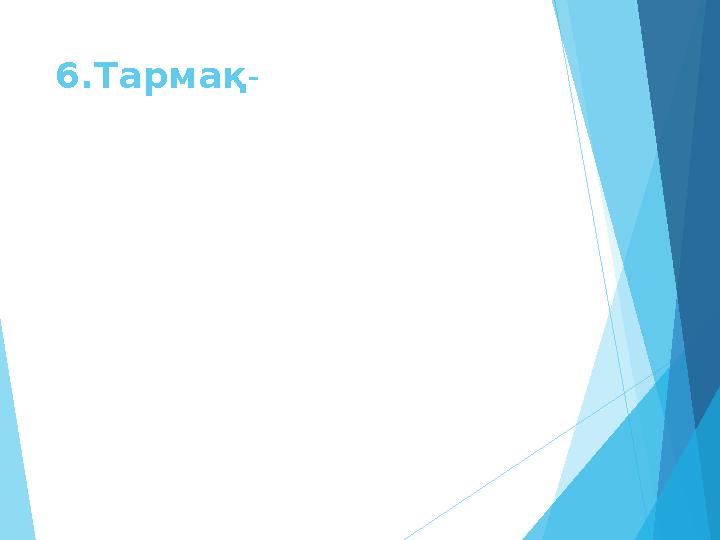 6.Тармақ-