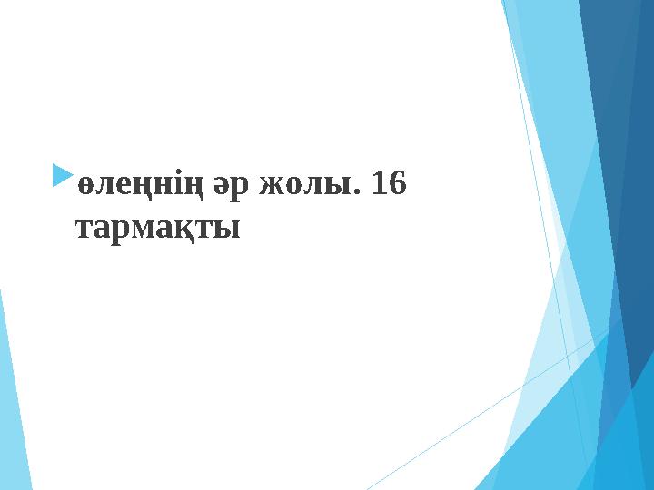 өлеңнің әр жолы. 16 тармақты