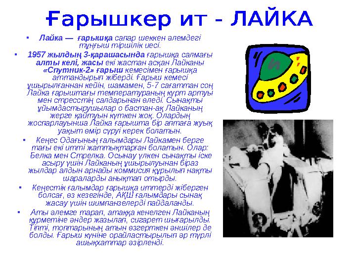 •Лайка — ғарышқа сапар шеккен әлемдегі тұңғыш тіршілік иесі. •1957 жылдың 3-қарашасында ғарышқа салмағы алты келі, жасы екі ж