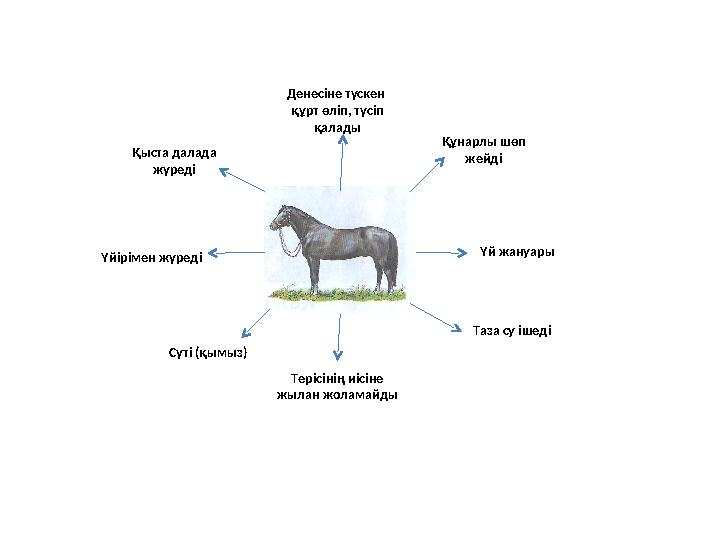 Денесіне түскен құрт өліп, түсіп қалады Құнарлы шөп жейді Үй жануары Таза су ішеді Терісінің иісіне жылан жоламайды Сүті (қ