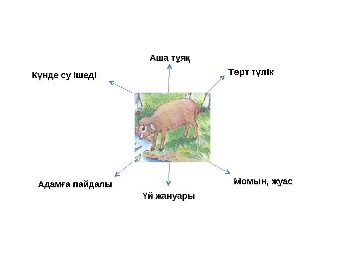 Аша тұяқ Төрт түлік Момын, жуас Үй жануары Адамға пайдалы Күнде су ішеді