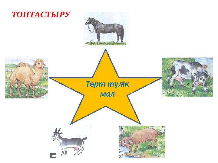 ТОПТАСТЫРУ ТӨРТ ТҮЛІК МАЛ Төрт түлік мал