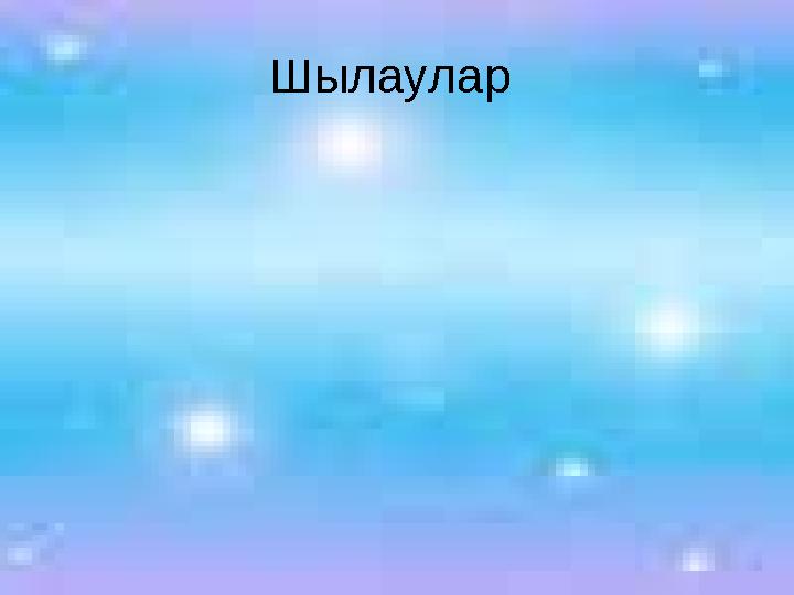 Шылаулар