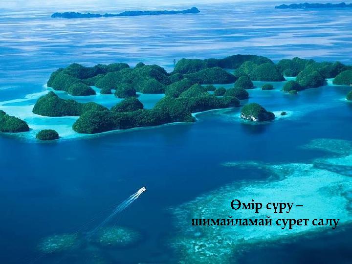 Өмір сүру – шимайламай сурет салу