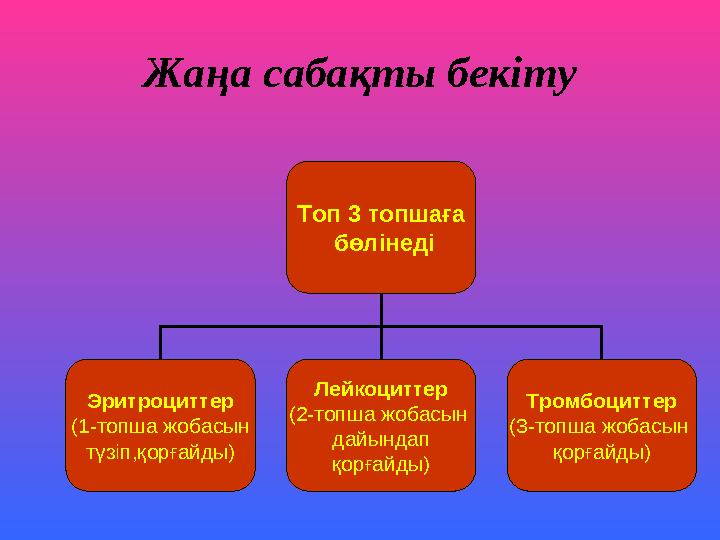 Топ 3 топшаға бөлінеді Эритроциттер (1-топша жобасын түзіп,қорғайды) Лейкоциттер (2-топша жобасын дайындап қорғайды) Тромбоцит