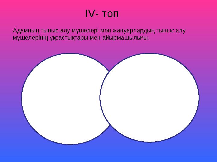 IV- топ Адамның тыныс алу мүшелері мен жануарлардың тыныс алу мүшелерінің ұқсастықтары мен айырмашылығы.