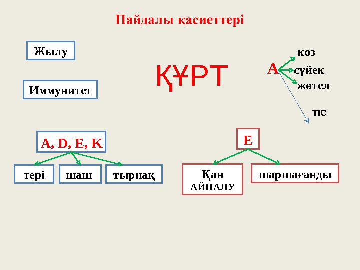 Жылу Иммунитет А, D, E, K тырнақтерішаш көз А сүйек жөтел Е Қан АЙНАЛУ шаршағанды ҚҰРТ ТІС