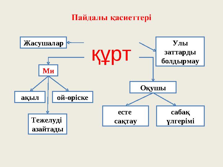 Жасушалар Улы заттарды болдырмау Ми ақыл ой-өріске Тежелуді азайтады сабақ үлгерімі есте сақтау Оқушы құрт