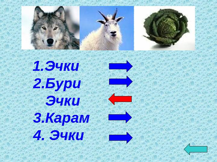 1.Эчки 2.Бури Эчки 3.Карам 4. Эчки
