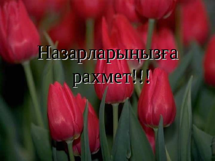 Назарларыңызға Назарларыңызға рахмет!!!рахмет!!!