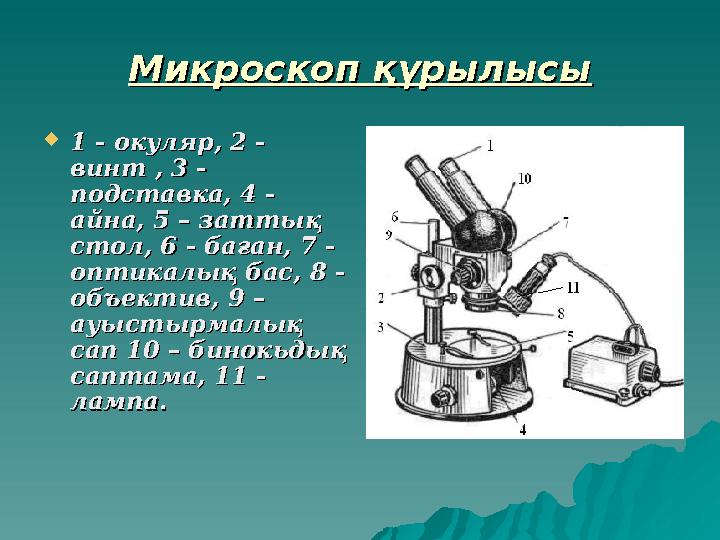 Микроскоп құрылысыМикроскоп құрылысы  1 - окуляр, 2 - 1 - окуляр, 2 - винт , 3 - винт , 3 - подставка, 4 -подставка, 4 - айна