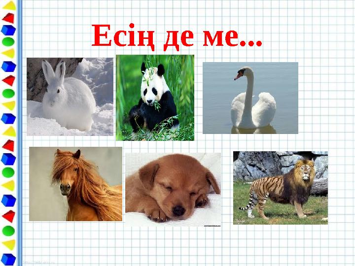 Есің де ме...