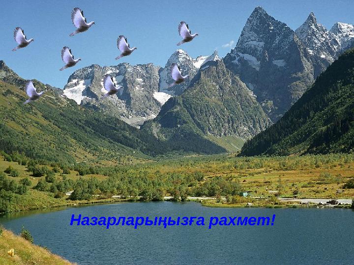 Назарларыңызға рахмет!