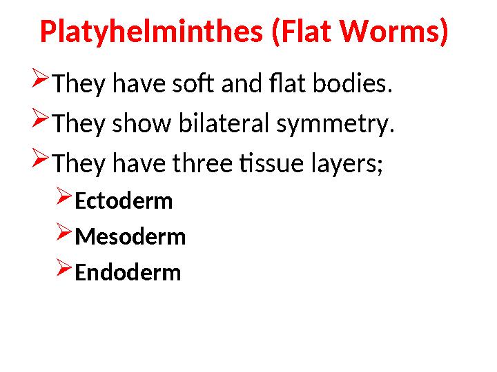  They have soft and flat bodies.  They show bilateral symmetry.  They have three tissue layers;  Ectoderm  Mesoderm  Endo