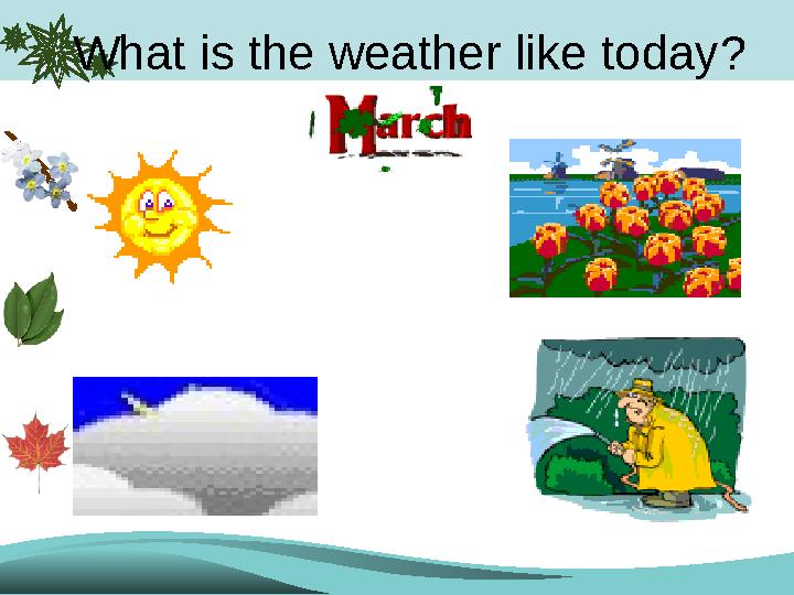 What is the weather like today?