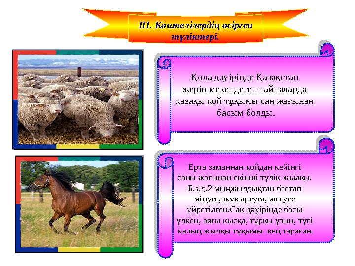 ІІІ. Көшпелілердің өсірген түліктері.Қола дәуірінде Қазақстан жерін мекендеген тайпаларда қазақы қой тұқымы сан жағынан басы