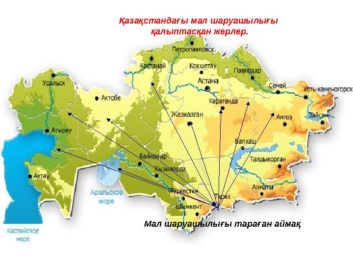 Қазақстандағы мал шаруашылығы қалыптасқан жерлер. Мал шаруашылығы тараған аймақ
