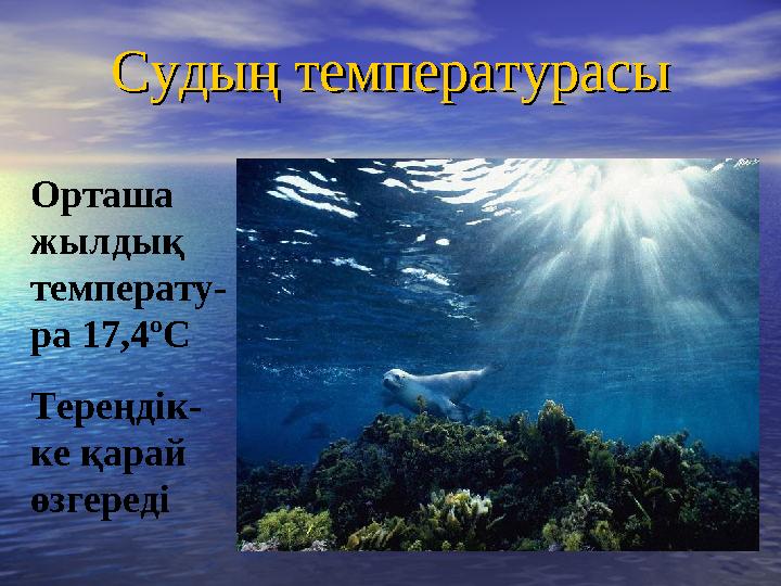 Судың температурасыСудың температурасы Орташа жылдық температу- ра 17,4ºС Тереңдік- ке қарай өзгереді