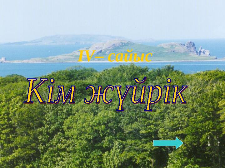 IV– сайыс
