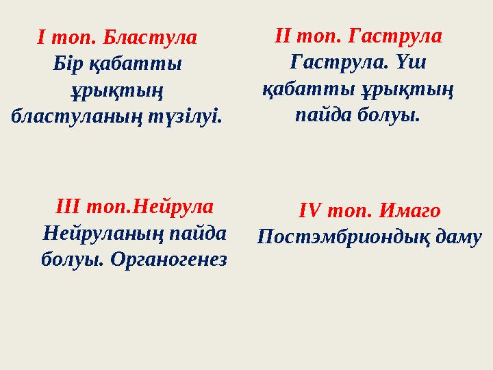 І топ. Бластула Бір қабатты ұрықтың бластуланың түзілуі. ІІ топ. Гаструла Гаструла. Үш қабатты ұрықтың пайда болуы. ІІІ топ.