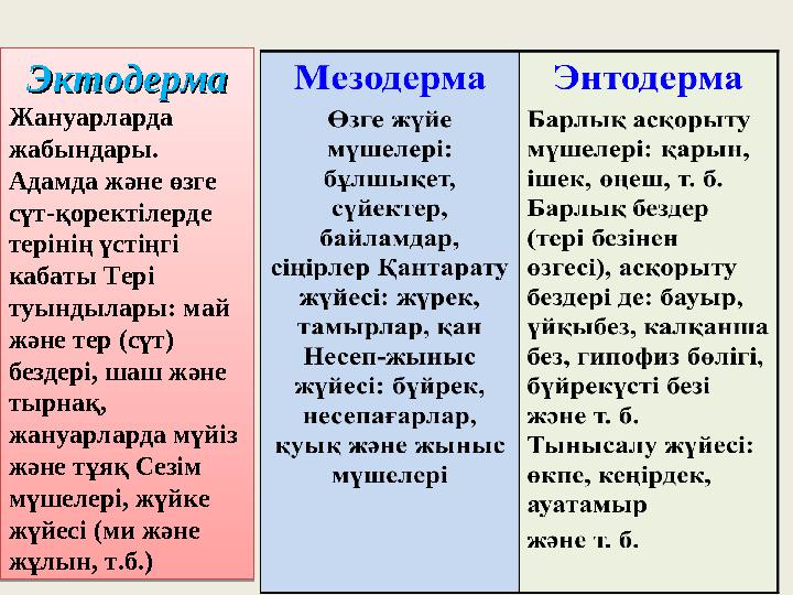 ЭктодермаЭктодерма Жануарларда жабындары. Адамда және өзге сүт-қоректілерде терінің үстіңгі кабаты Тері туындылары: май ж