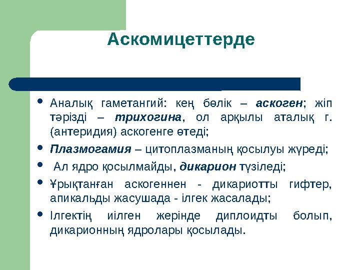Аскомицеттерде Аналық гаметангий: кең бөлік – аскоген; жіп тәрізді – трихогина, ол арқылы аталық г. (антеридия) аскогенге ө