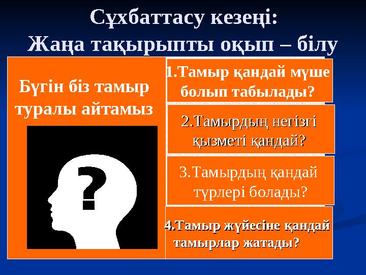 Американдық жұптар онлайн секс