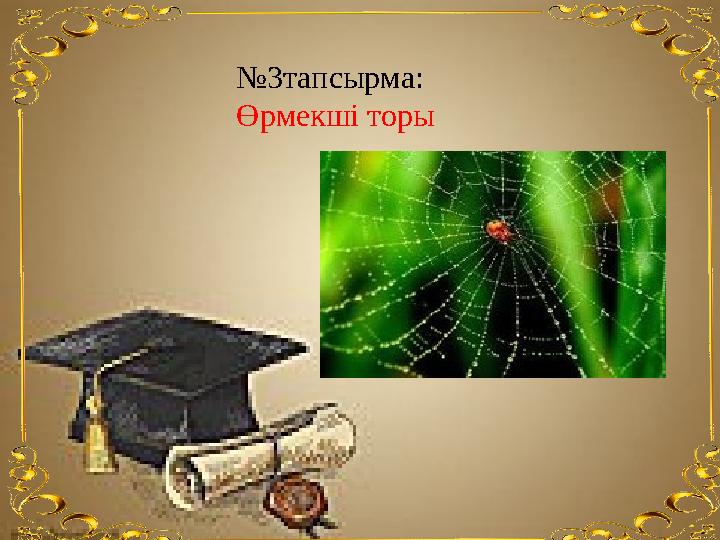 №3тапсырма: Өрмекші торы