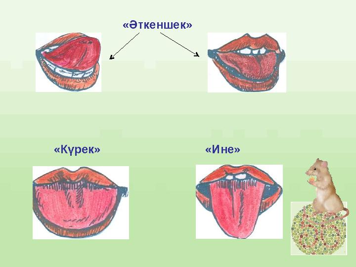 «Әткеншек» «Күрек» «Ине»