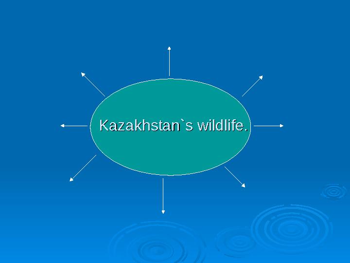 Kazakhstan`s wildlife.Kazakhstan`s wildlife.