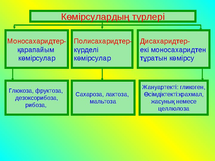 Көмірсулардың түрлері Моносахаридтер- қарапайым көмірсулар Полисахаридтер- күрделі көмірсулар Дисахаридтер- екі моносахаридтен